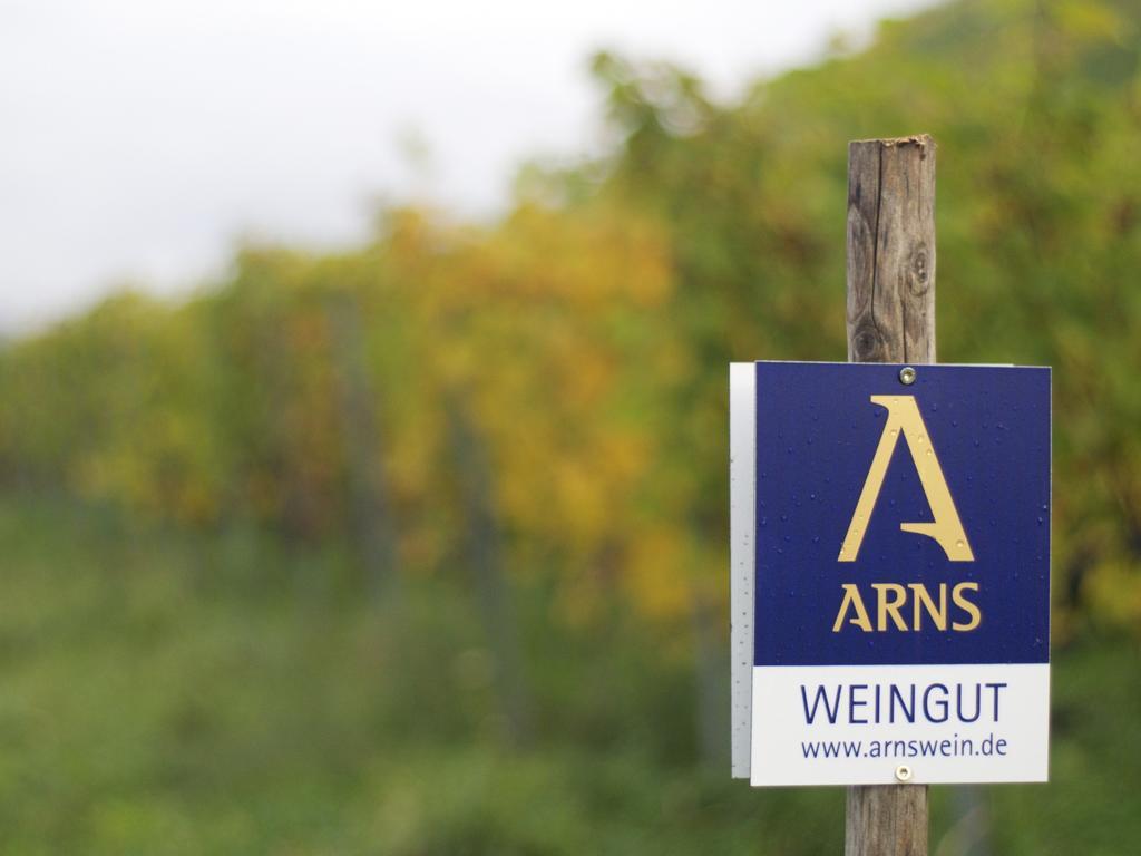 Gastehaus Weingut Arns Bed & Breakfast Reil Exterior photo